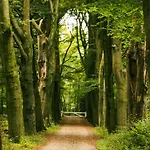 De Fazant Hulshorst