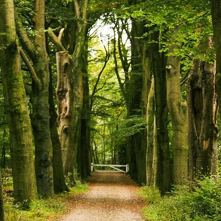 De Fazant Hulshorst